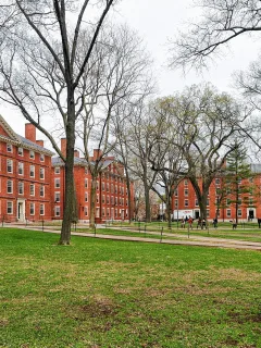 Harvard international student ban